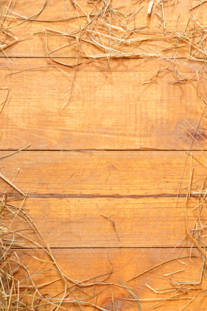 Close-up of dried hay on a rustic wooden background. Space for copy.