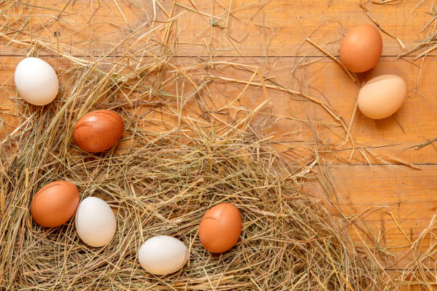 istock Fresh chicken eggs in the hay on a rustic wooden background 2204421748
