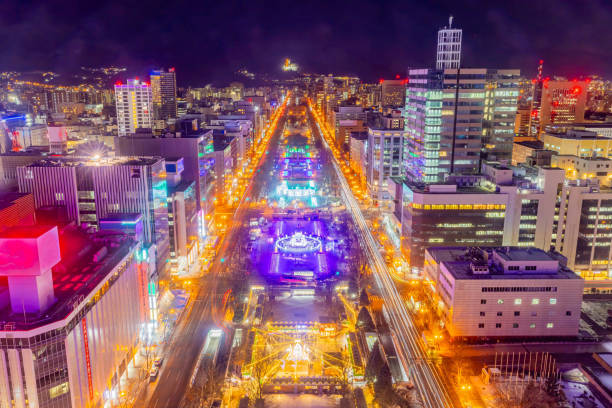 Sapporo Odori Park night view in winter