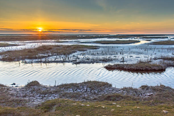 istock Aerial view over salt marsh plains Wadden Sea 2204431968