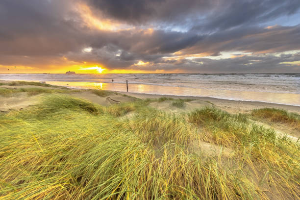 Dune Landscape under cloudy autumn sky. Dark clouds blowing over setting sun. Wijk aan Zee, North Holland. Netherlands. Marine landscape of nature of Europe.