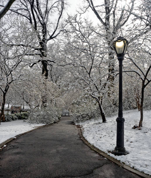 istock Central Park in winter after snow 2204432965