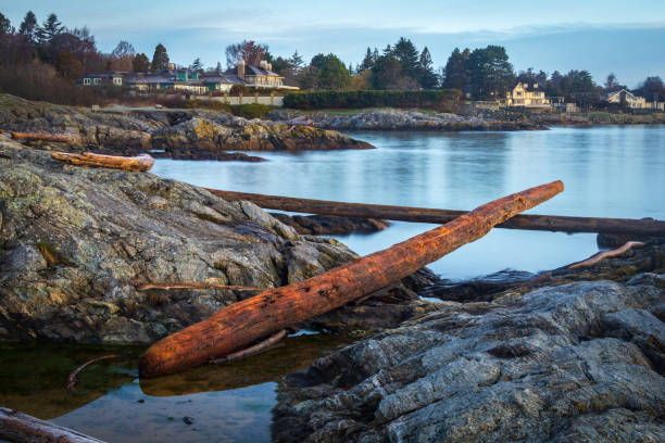 Cattle Point Beach, located along southern Vancouver Island.