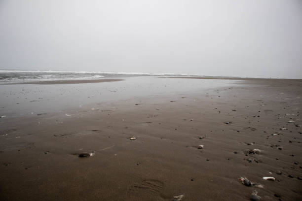 Morning light on Heceta Beach on the Oregon Coast