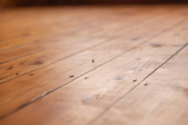 istock Bamboo Mat Background Closeup. Lines are vertical on a horizontal orientation shot from above 2204449617