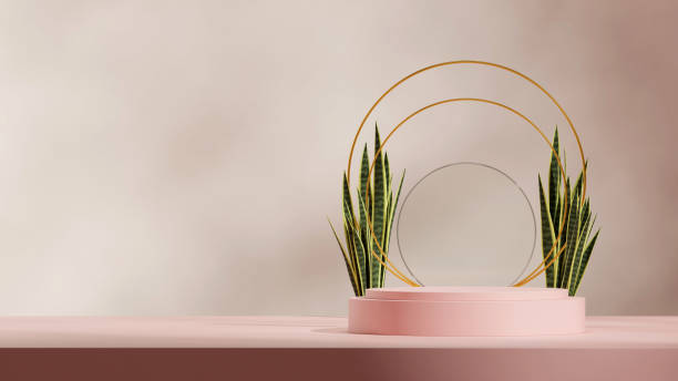 istock pink color curved cylinder podium in landscape circles and wall, 3d render empty space 2204458867
