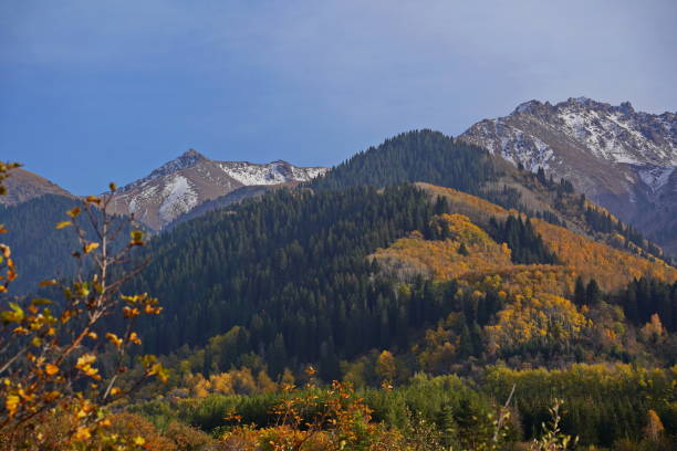 istock Akbulak Gorge. Ile-Alatau National Park 2204462155