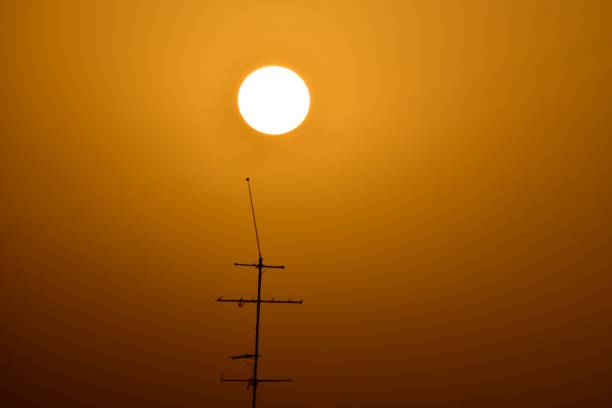 Panoramic view of the sunset with a crane. Copy space.
