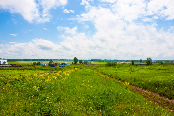 Panoramic view. Russian village, summer. Blue sky with clouds, dirt road through a meadow with green grass