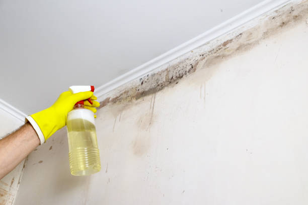 istock A man sprays special protective chemicals to remove mold on a wall indoors 2204466349