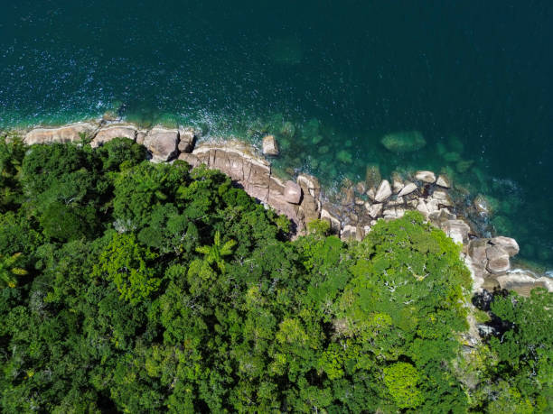 A top-down image capturing the transition between the dense vegetation and the rocky shorelines that form the island's edges.