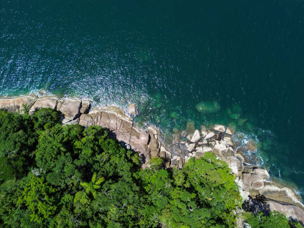 A top-down image capturing the transition between the dense vegetation and the rocky shorelines that form the island's edges.