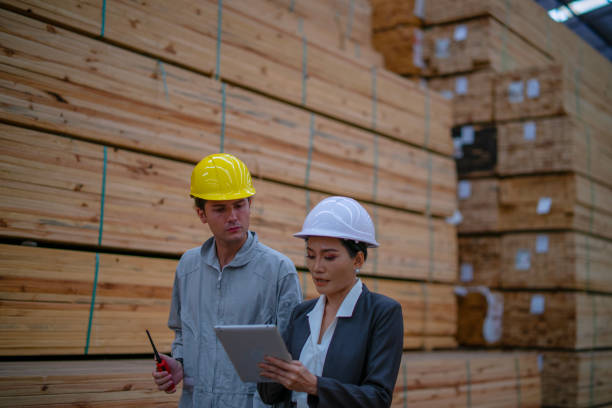 istock Blue collar workers  are working at wood factory. 2204470531