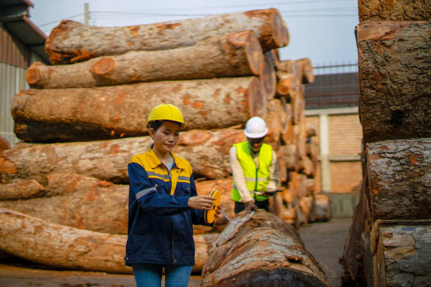 istock Blue collar workers  are working at wood factory. 2204470550