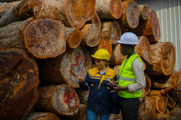Blue collar workers  are working at wood factory.