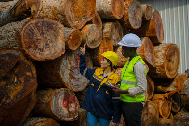 istock Blue collar workers  are working at wood factory. 2204470556