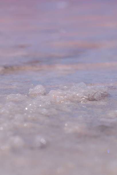 istock Pink Salt Lake with Sandy Shoreline 2204471873