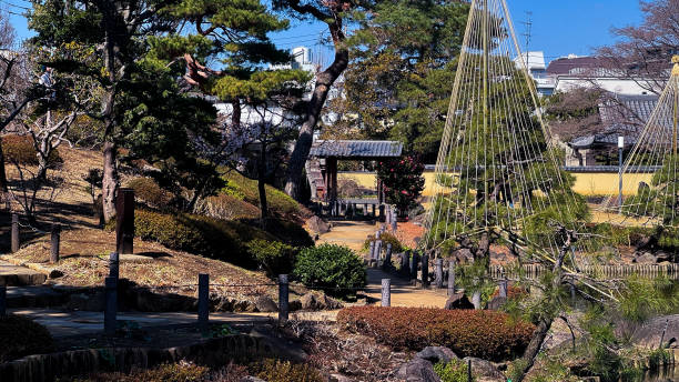 istock The beautiful views in Tokyo 2204471971