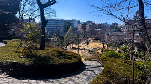 istock The beautiful views in Tokyo 2204472030
