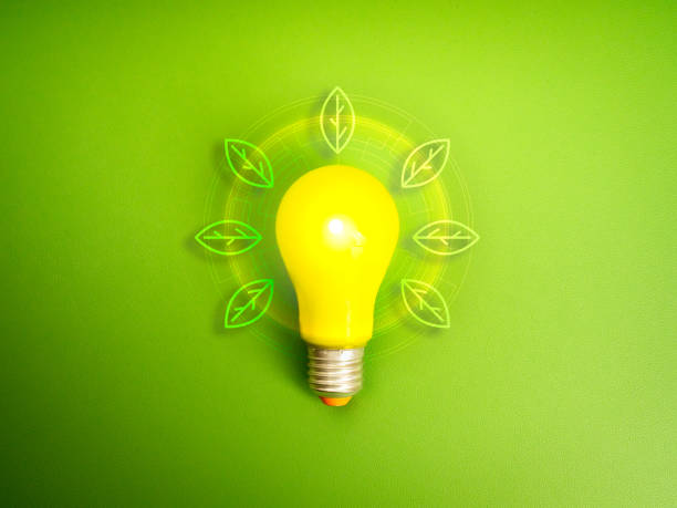 istock Green energy, business creative idea, education knowledge and learning, ESG for clean energy, environment innovation concept. Leaves graphic surrounded glow yellow eco lightbulb on green background. 2204472843