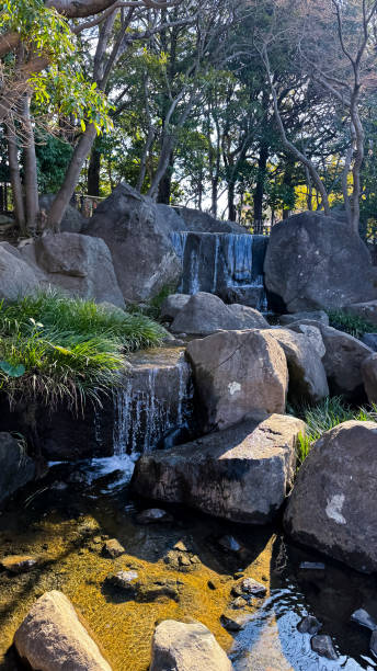 istock The beautiful views in Tokyo 2204473115