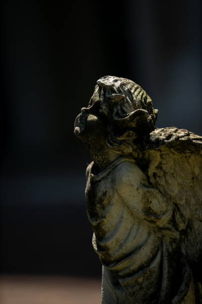 istock Statue of an Angel Looking Upward in Soft Natural Light 2204476718