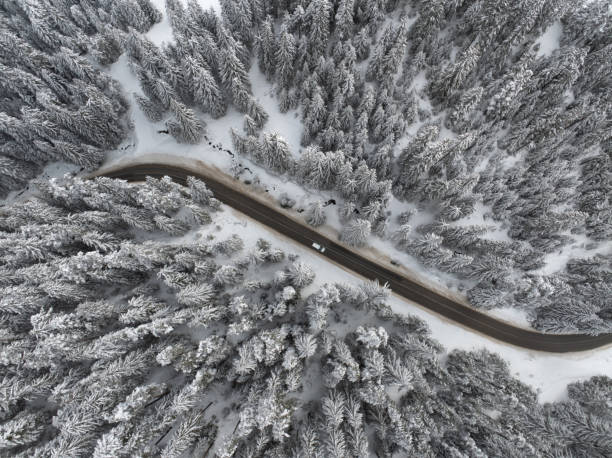 istock Snowy Pine Forest with Road and Car 2204479730