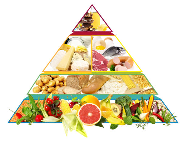 istock Food Pyramid - Modern Diet Recommendations 2204481314