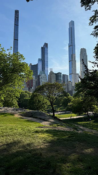 istock Vertical view of Central Park during the day 2204482895