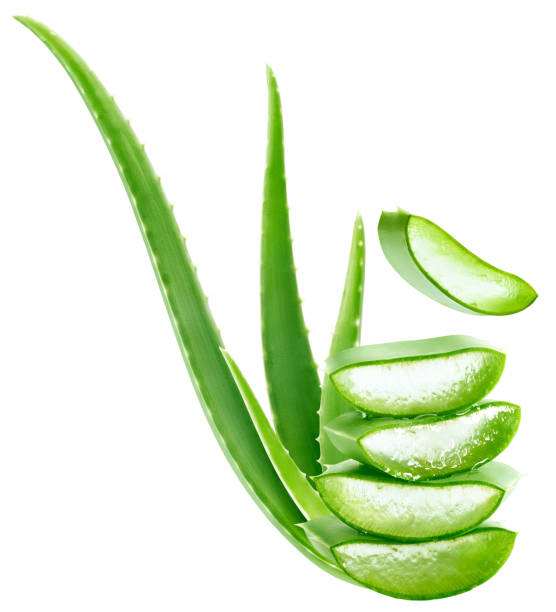 istock Fresh dissected aloe vera stacks isolated 2204484498
