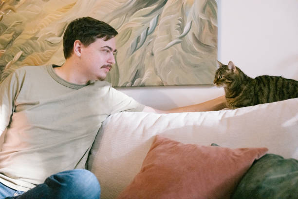 istock Man strokes with a gray cat on the sofa 2204486725