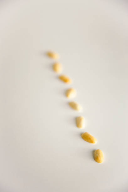 An artistic close-up of peanuts arranged in a linear pattern on a clean white background, creating a minimalist and abstract composition. The soft focus gives the image a dreamy effect, emphasizing simplicity and the natural beauty of these nutritious legumes. The warm golden tones of the peanuts contrast subtly with the neutral background, highlighting their organic texture. This image is ideal for concepts related to healthy eating, plant-based nutrition, organic food, and natural ingredients.