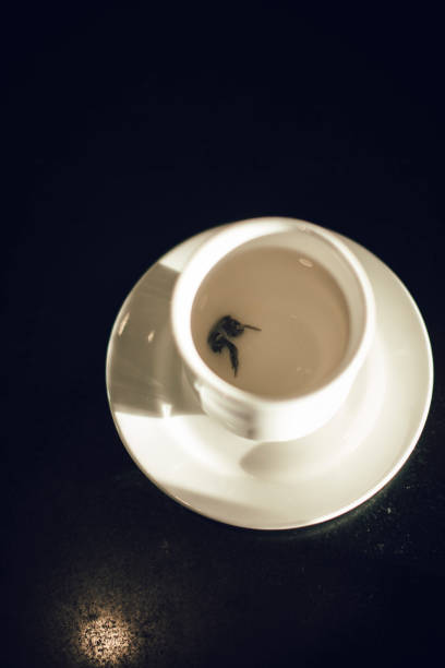 A visually striking minimalist composition featuring a white teacup with a small floating tea leaf, placed on a saucer against a dark reflective background. The warm lighting adds a touch of elegance, emphasizing simplicity and serenity. The contrast between the white ceramic and the dark surface creates a sophisticated visual balance, making this image ideal for tea culture branding, lifestyle photography, wellness promotions, and artistic food styling.