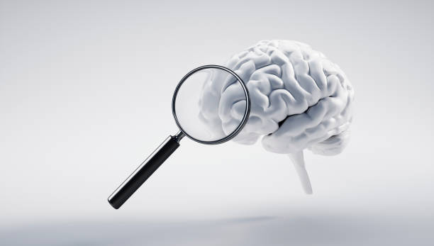 istock Isolated human brain with magnifying glass 2204494291