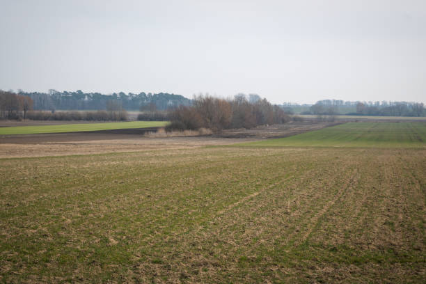 Rural landscape of fields in early spring.