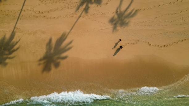 istock Aerial View of Beach with Palm Tree Shadows 2204499870