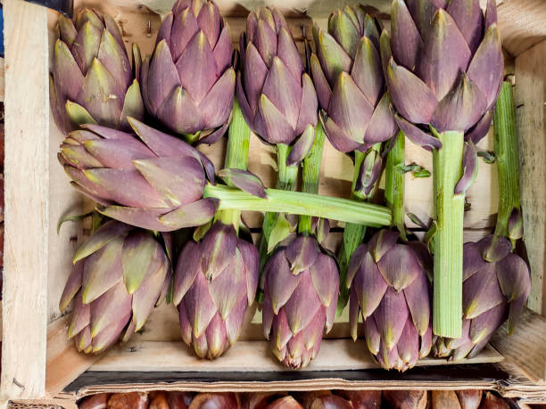 Selling fresh artichoke vegetables at glasgow scotland england