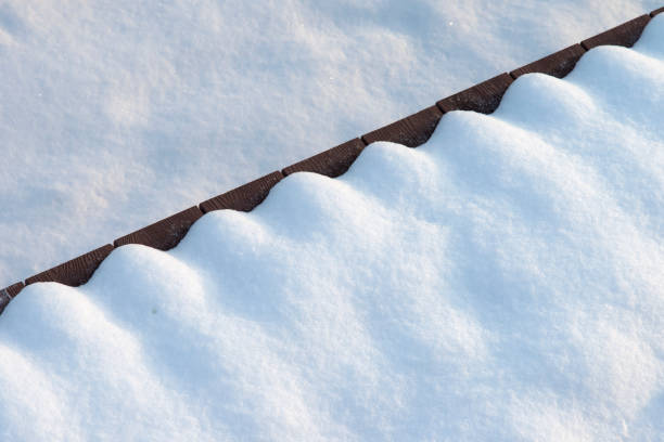 winter landscape