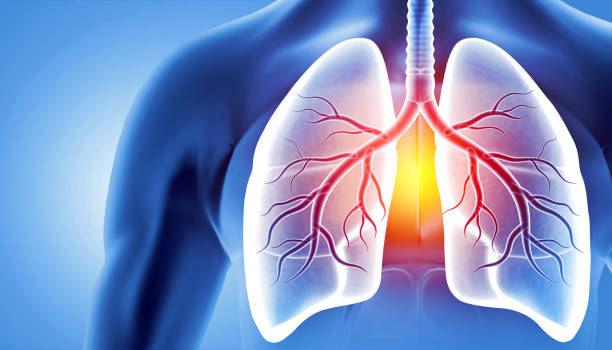istock Chronic obstructive pulmonary disease, respiratory diseases, 3d illustration 2204506553