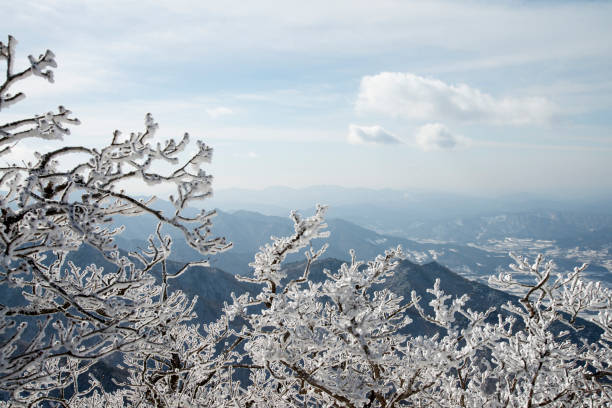 winter landscape