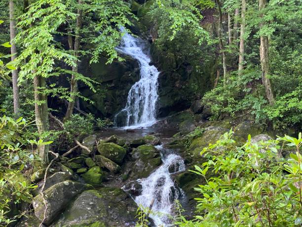 istock Waterfall in Great Smoky Mountains National Park 2204507433