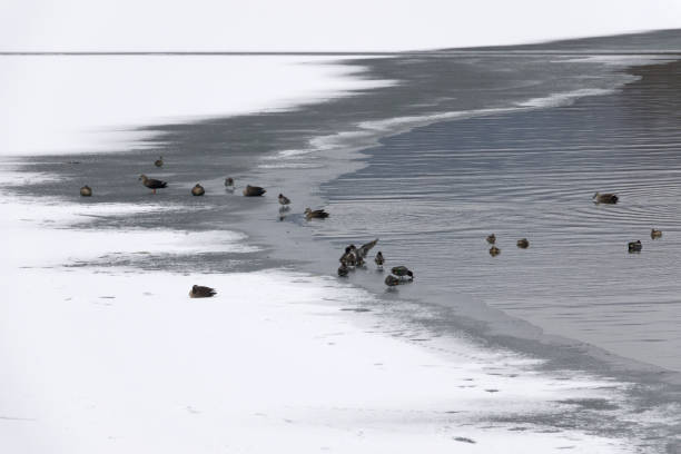 idyllic winter landscape
