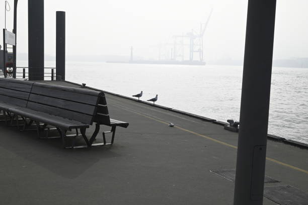 istock Foggy morning at the River Elbe, Hamburg 2204510618