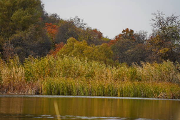 istock Pond in the mountains 2204512511