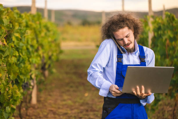 istock The usual check-up on our organic vineyard 2204513573