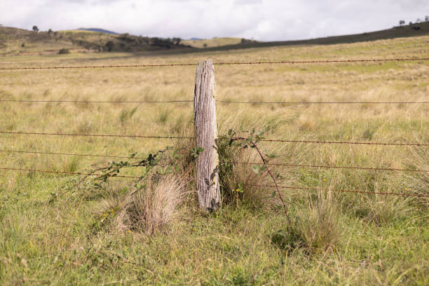 istock Farm boundary fence 2204517200