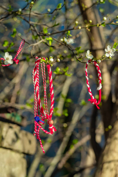istock Bulgarian folklore tradition amulet Martenitsa on tree branch. Red and white Martenitsa bracelets tied on blooming tree branch in spring. Traditional Bulgarian symbol for welcoming spring , good luck 2204517795