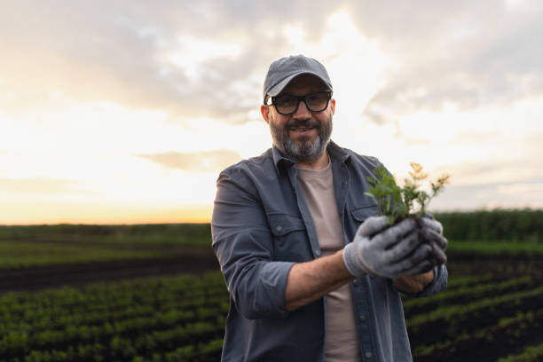 A cheerful farmer wearing gloves and a hat holds a young plant while standing in a verdant field at sunset, symbolizing agriculture, sustainability, and growth in the countryside.