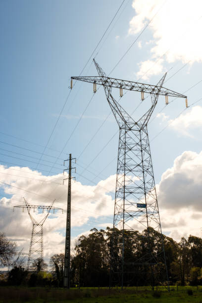 istock Electricity pylons towering over green field under cloudy sky 2204519714