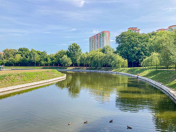 istock An urban park scene showcases a tranquil water feature, surrounded by trees and visited by ducks A walkway leads to the waters edge, while a high-rise building is partially visible in the backgroun 2204521983